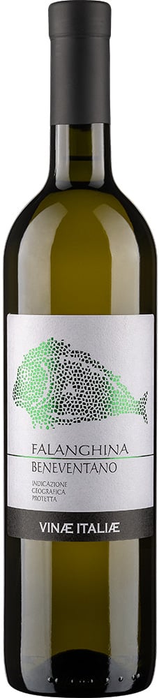 2023 Fala Falanghina del sannio DOC