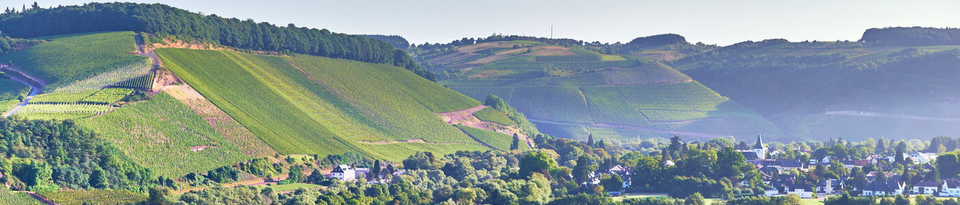 Weingut von Othegraven