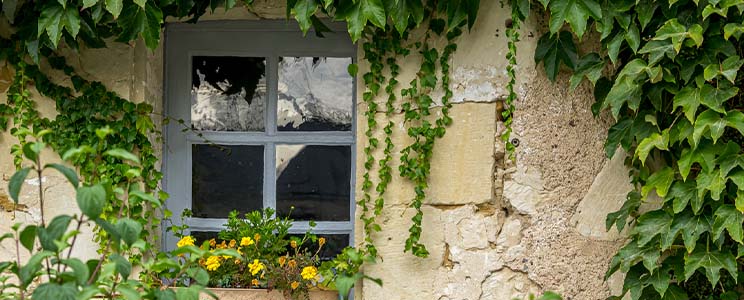 Domaine du Roujou
