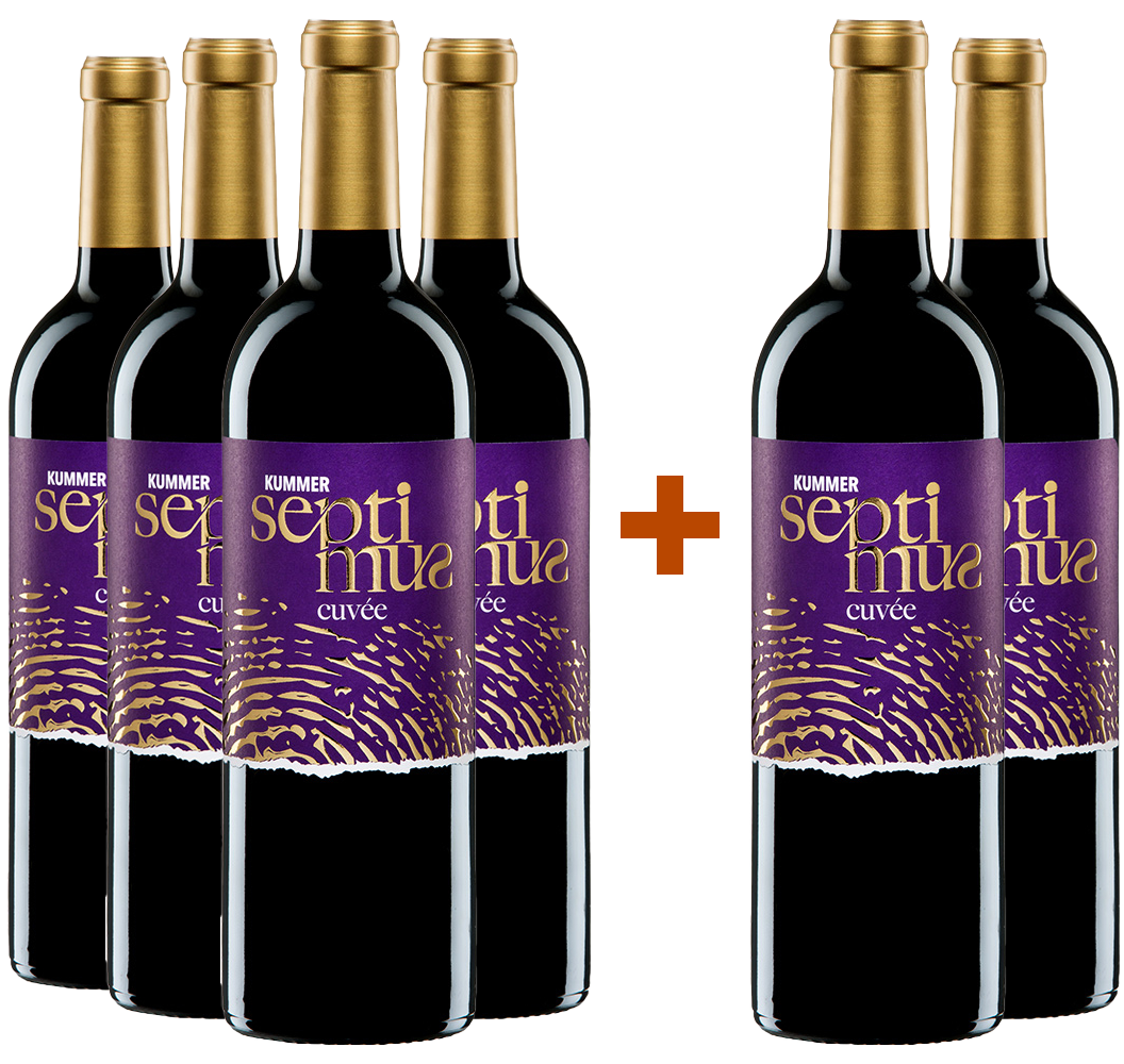4+2 Cuvée SEPTIMUS Paket trocken