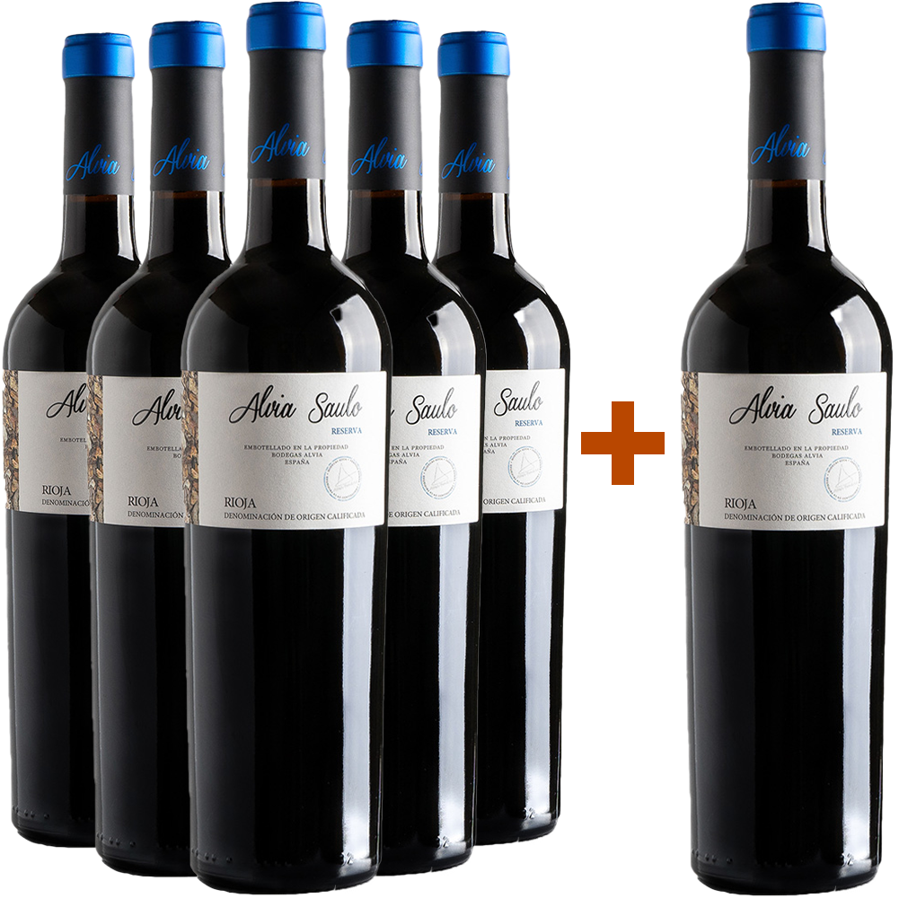 5+1 Paket Alvia Sauló Reserva Rioja DOCa