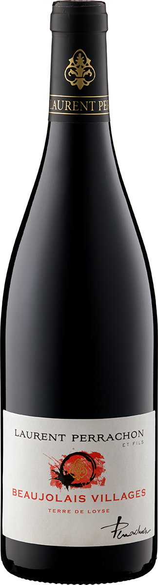 2024 Terre de Loyse Gamay Beaujolais AOP