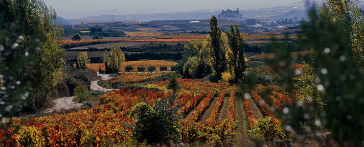 Granja Ntra. Sra. De Remelluri