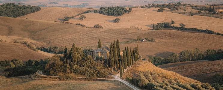Renzo Masi