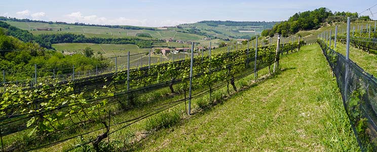 Stroppiana