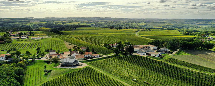 Domaine du Haut Montlong