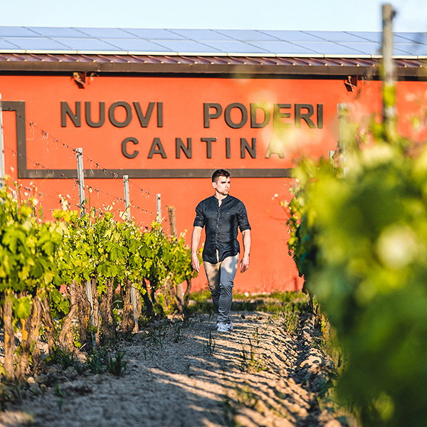 Luigi Giuntelli
