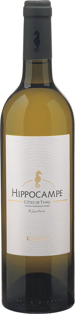 2023 Hippocampe Blanc Côtes de Thau IGP