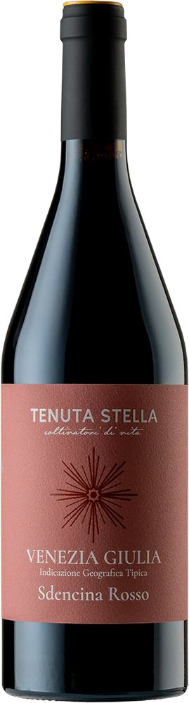 2021 Sdencina Rosso Venezia Giulia IGP BIO