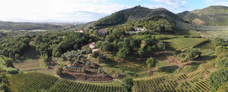 Montevetrano