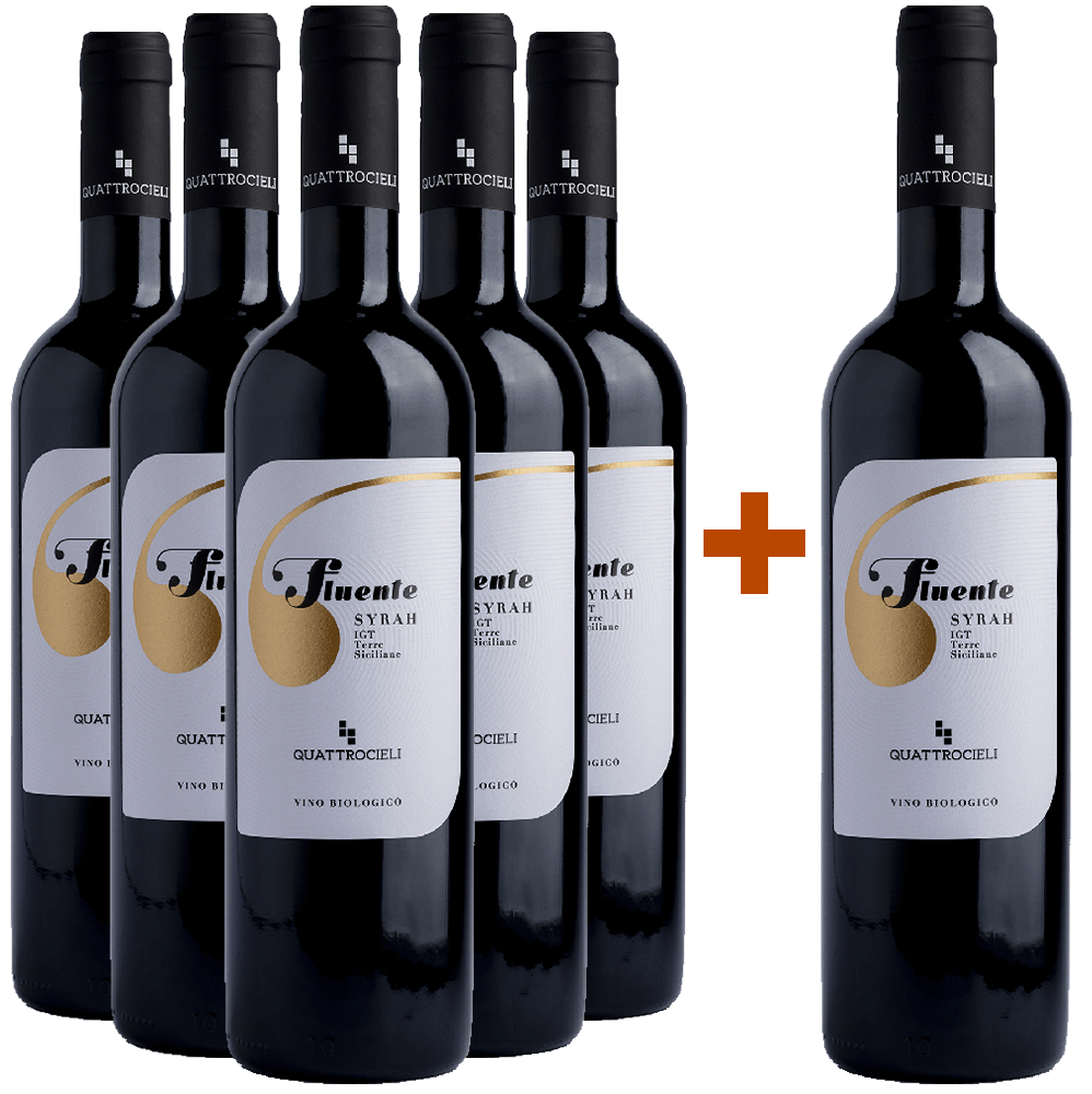5+1 Paket Fluente Syrah Terre Siciliane IGP BIO