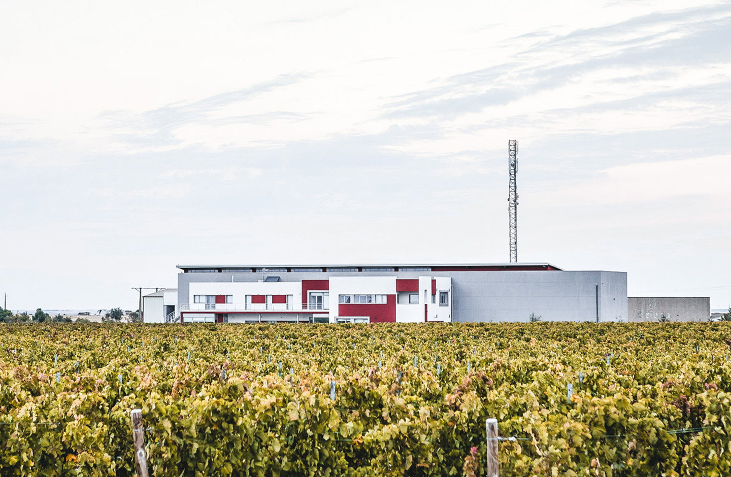 Bodegas Briego