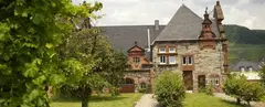 geheimrat wegeler 1