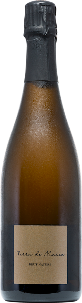 2014 Vintage Cava DO