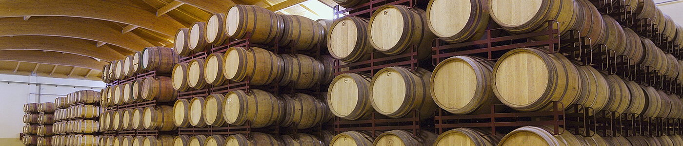 Viñedos y Bodegas Lyng