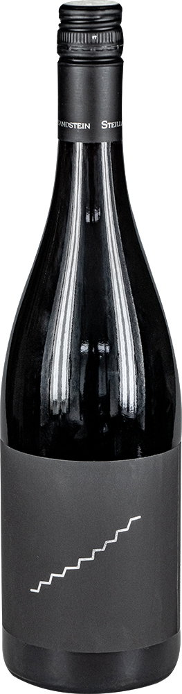 2022 Spätburgunder "FR"