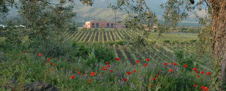 delle Terre Nere