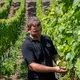 Weingut Kloster Ebernach