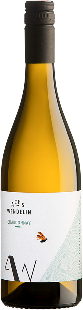 2022 Chardonnay barrique Reserve Ried Hofweingarten reflection