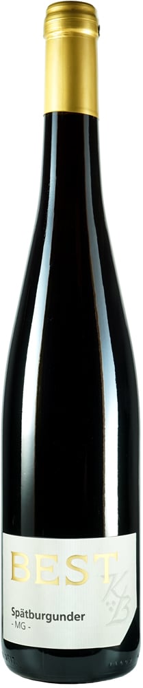 2023 Spätburgunder & Merlot -MG-