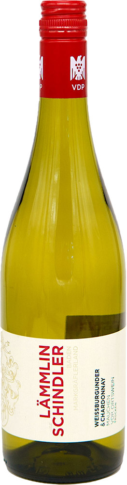 2024 Mauchen Weißburgunder + Chardonnay Ortswein BIO
