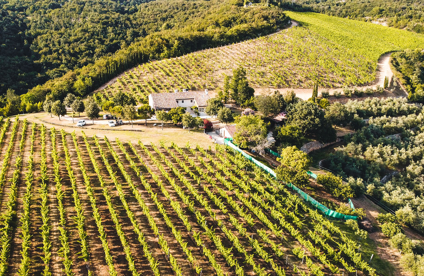 Del Rèbene