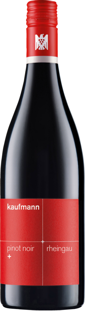 2025 Kaufmann Pinot Noir + BIO