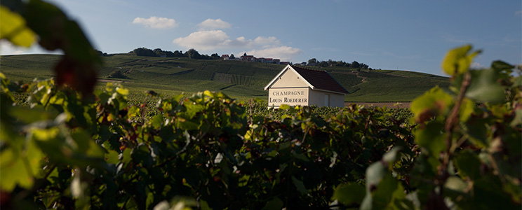 Louis Roederer