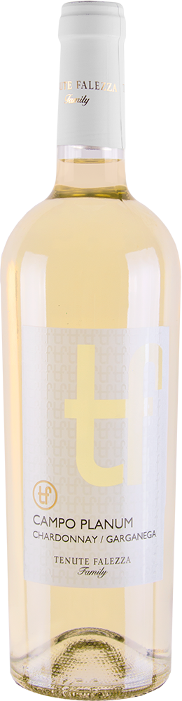 2025 Campo Planum Chardonnay/Garganega Verona IGP