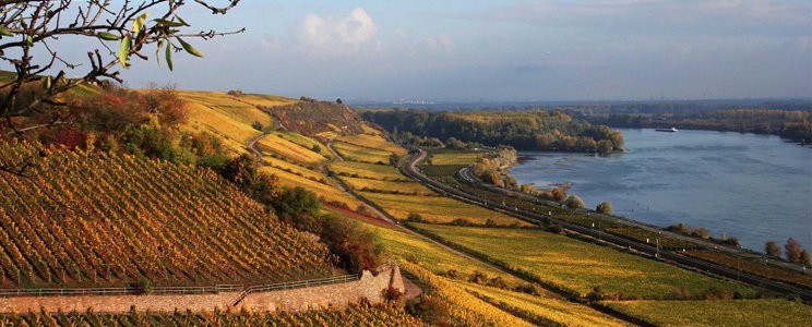 Staatliche Weinbaudomäne Oppenheim