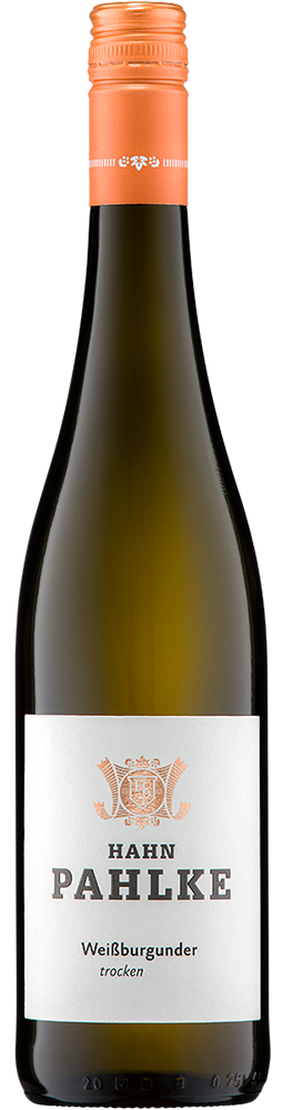 2025 Weißburgunder Gutswein BIO