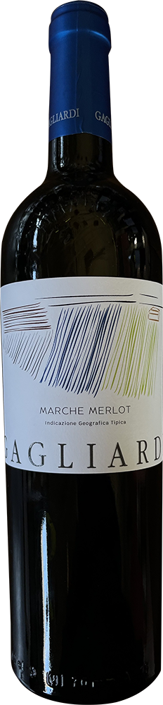 2024 Merlot Selezione Gagliardi Marche IGP