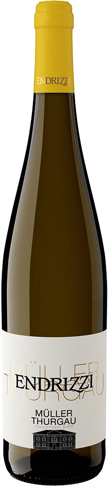 2025 Müller Thurgau Trentino DOC