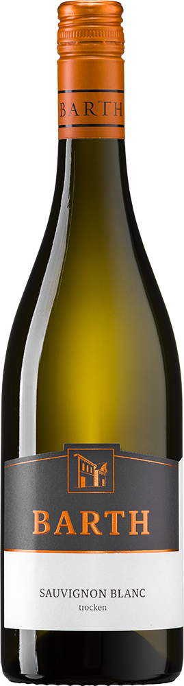 2025 Sauvignon Blanc