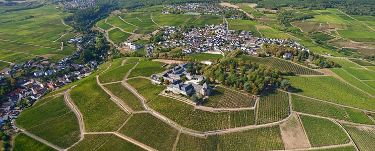 Schloss Johannisberg