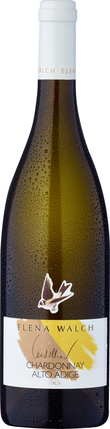2025 Chardonnay Cardellino Alto Adige DOC