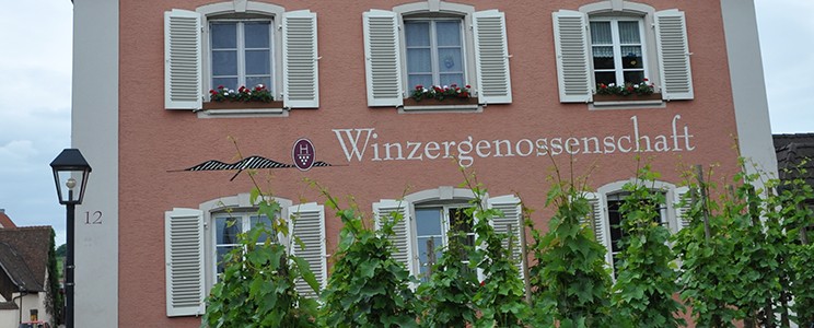 Wein & Hof Hügelheim