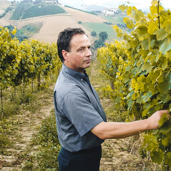 Giuseppe Cocci Grifoni
