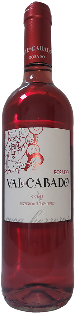 2023 Valdecabado Rosado DO Cigales