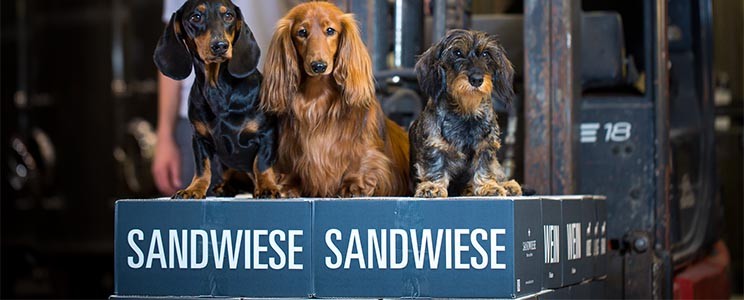 Sandwiese