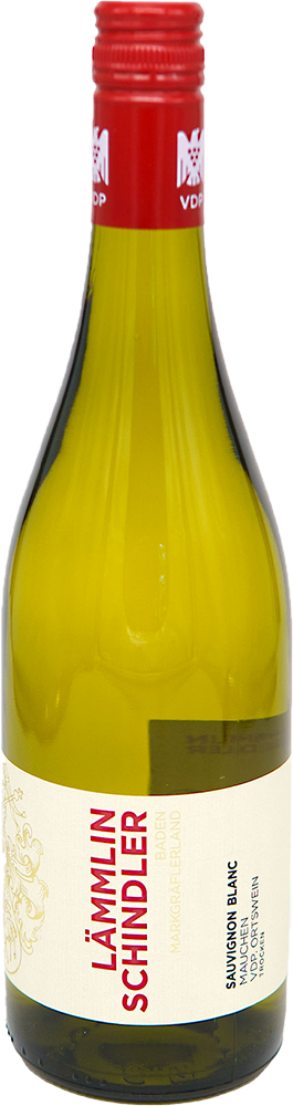 2024 Mauchen Sauvignon Blanc Ortswein BIO