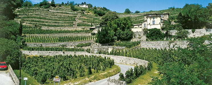 Domaine Fond Croze