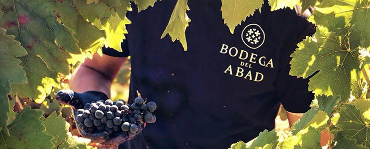 Bodega del Abad