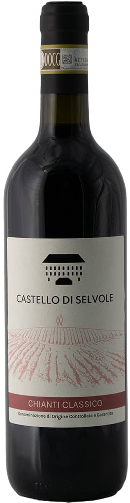 2021 Chianti Classico DOCG