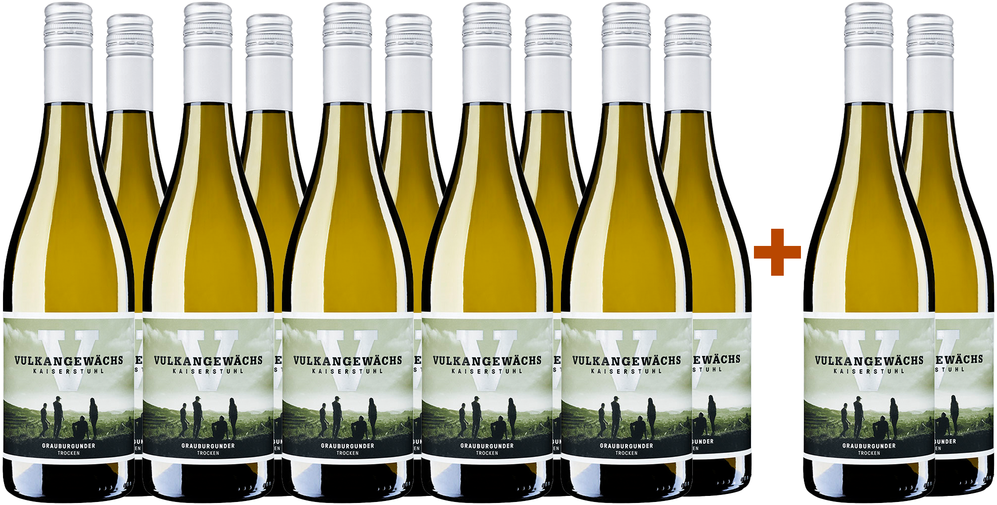 10+2 Paket Vulkangewächs Grauburgunder