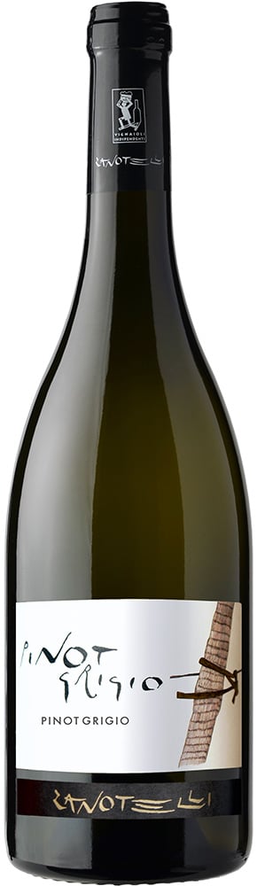 2024 Pinot Grigio Linea Le Strope Trentino DOC
