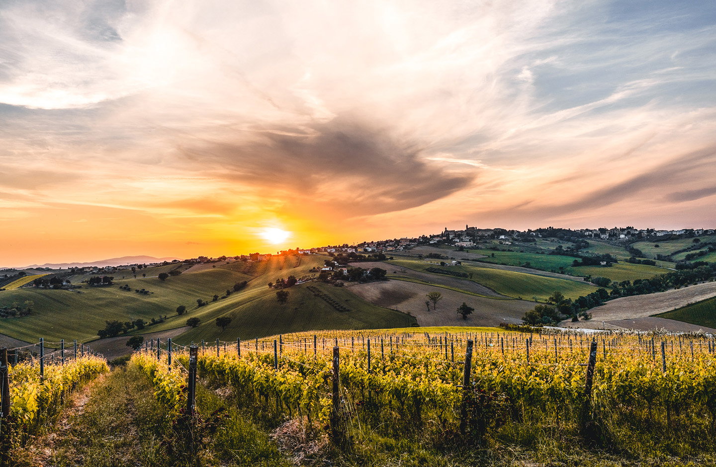 Tenuta San Marcello