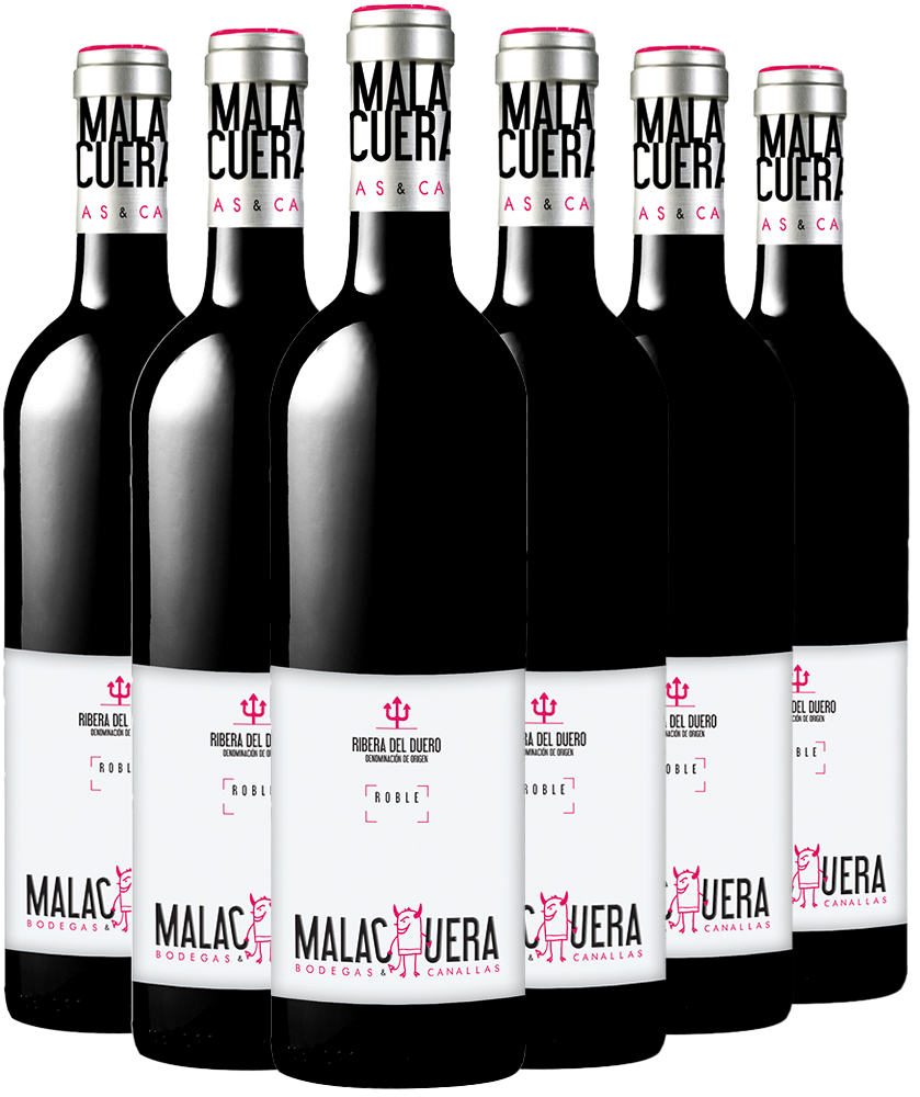 5+1 Paket Bodegas Malacuera Roble Ribera del Duero DO