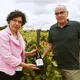 Bodegas Viriatus