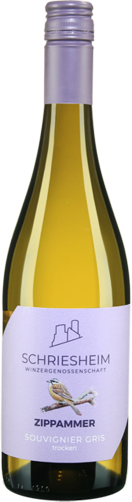 2024 Zippammer Souvignier gris